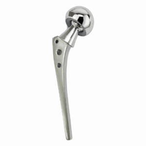 Bipolar Prosthesis